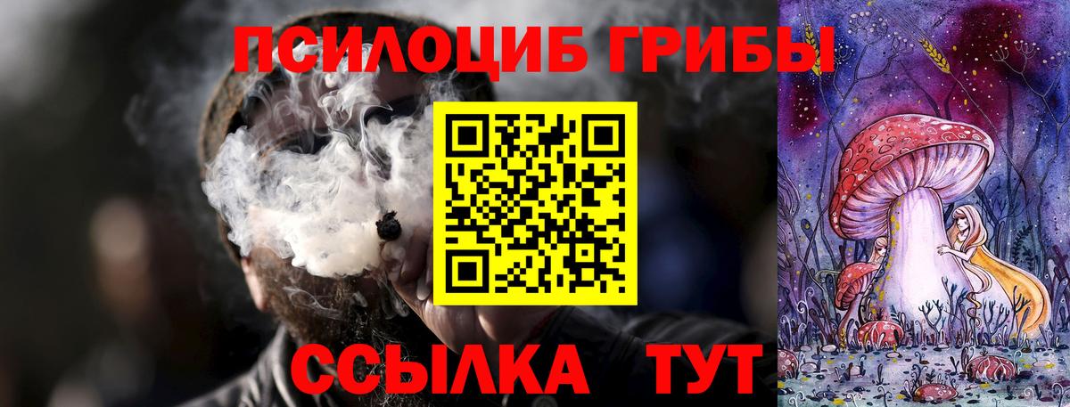 Псилоцибиновые грибы мухоморы Егорьевск