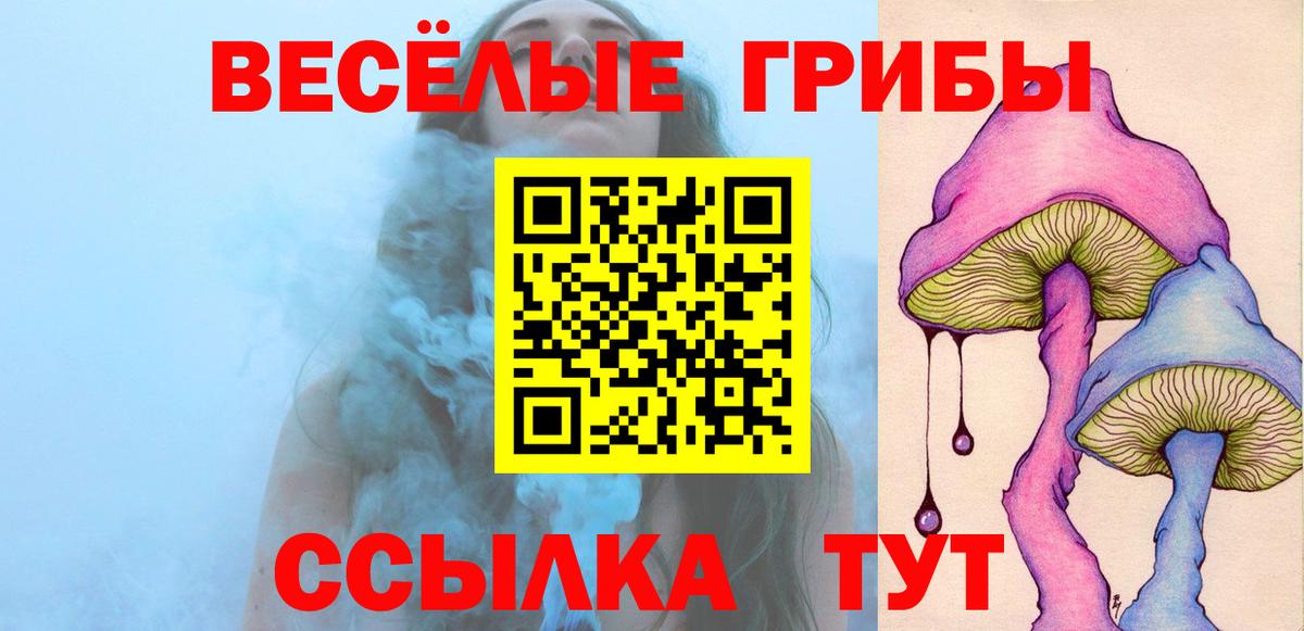 Галлюциногенные грибы Psilocybe  Вход с VPN  купить наркотики сайты  Галлюциногенные грибы MAGIC MUSHROOMS  Егорьевск 